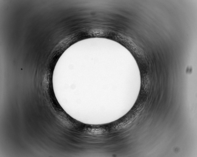 X0000103450645200810101128