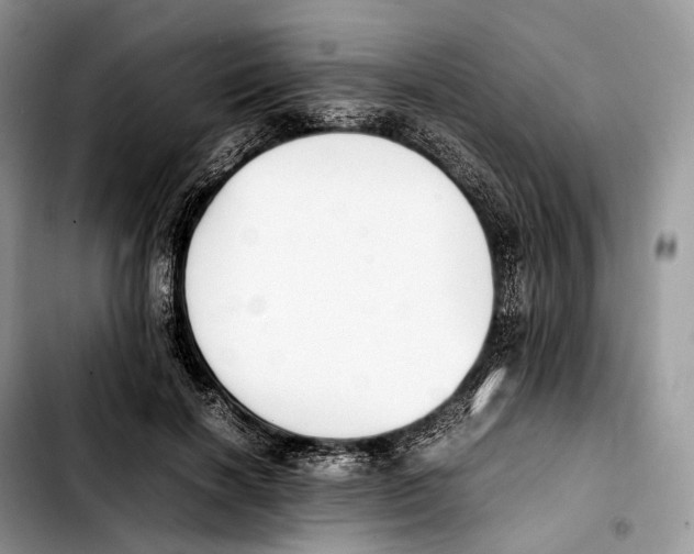 X0000103450646200810101128