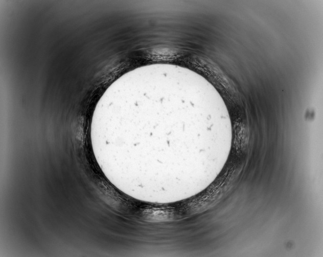 X0000103450655200810101129