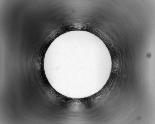 X0000103450656200810101129