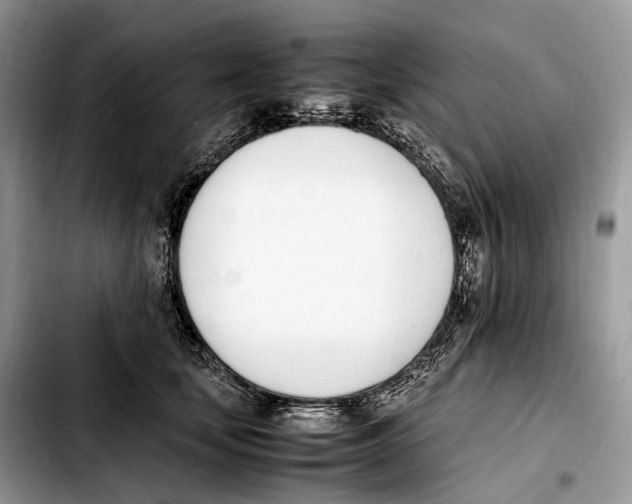 X0000103450659200810101129