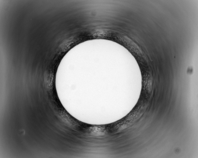 X0000103450660200810101129