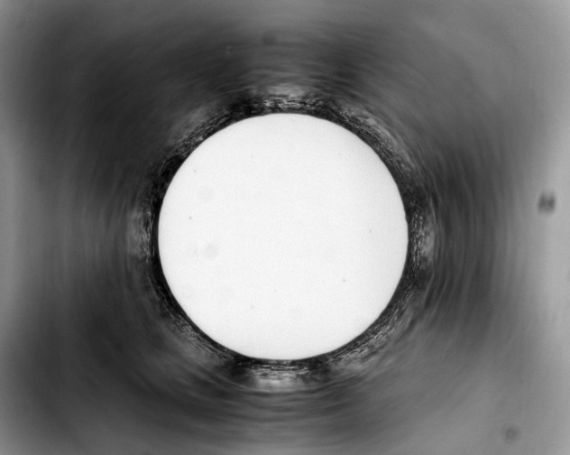 X0000103450661200810101129