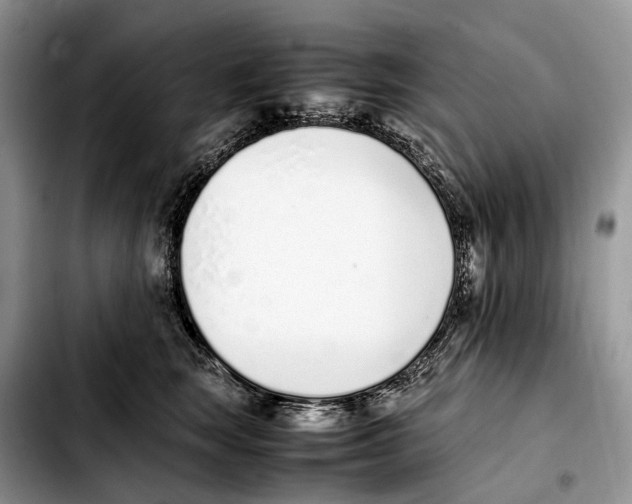 X0000103450663200810101129