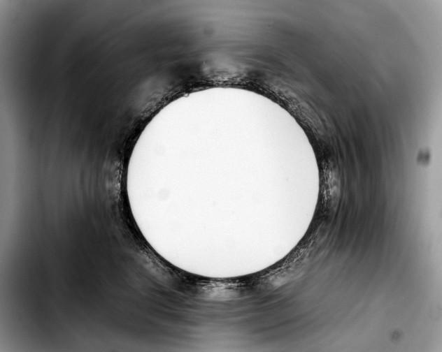 X0000103450664200810101129