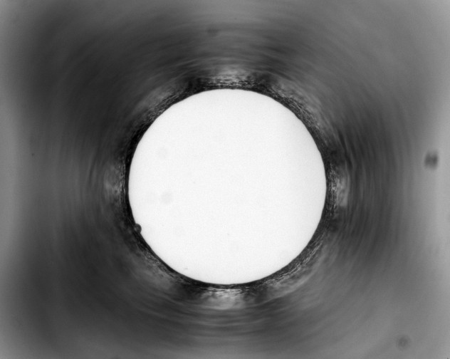 X0000103450665200810101129