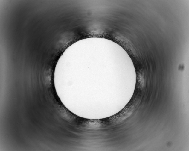 X0000103450668200810101129