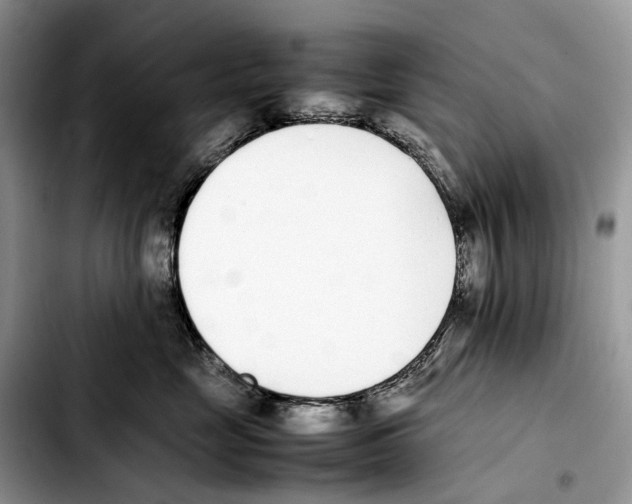 X0000103450669200810101129