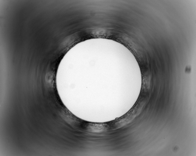 X0000103450671200810101129