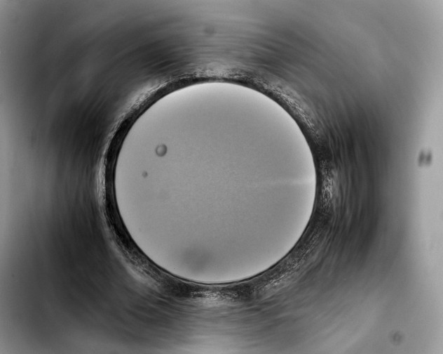 X0000103450678200810101128