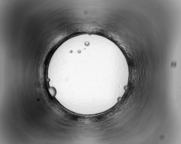 X0000103450679200810101128