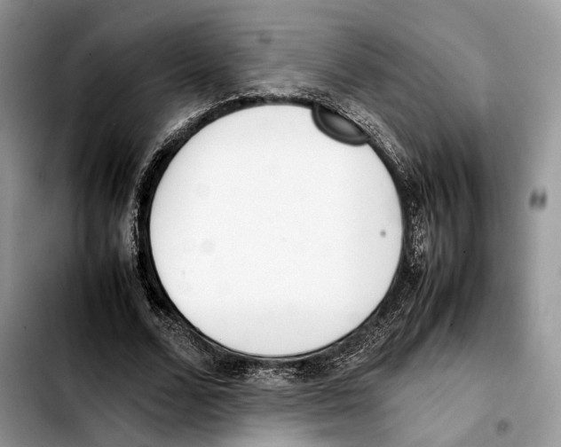 X0000103450680200810101128