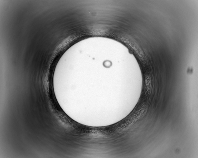 X0000103450682200810101128