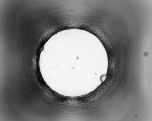 X0000103450685200810101128