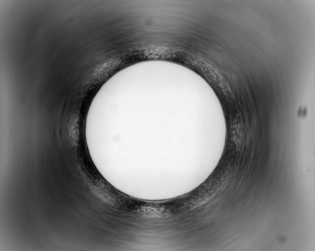 X0000103450690200810101128