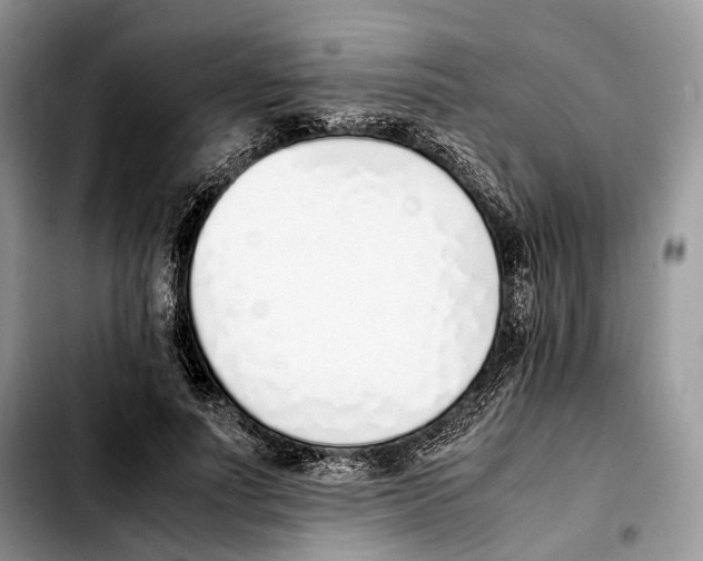 X0000103450691200810101128