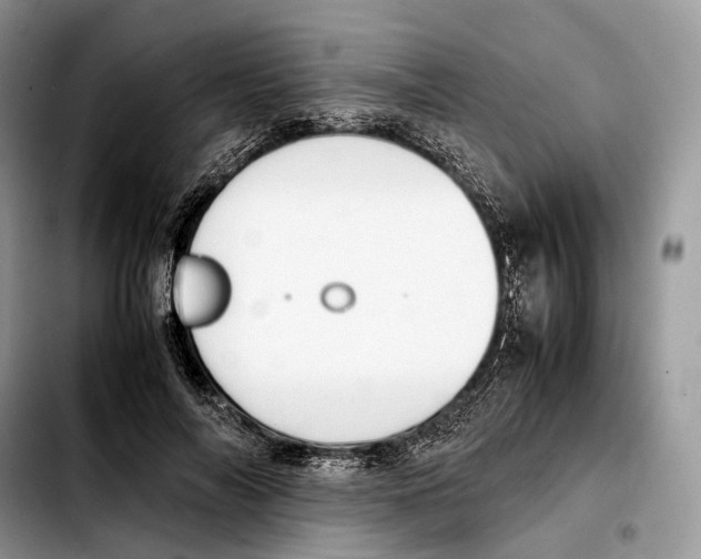 X0000103450694200810101128