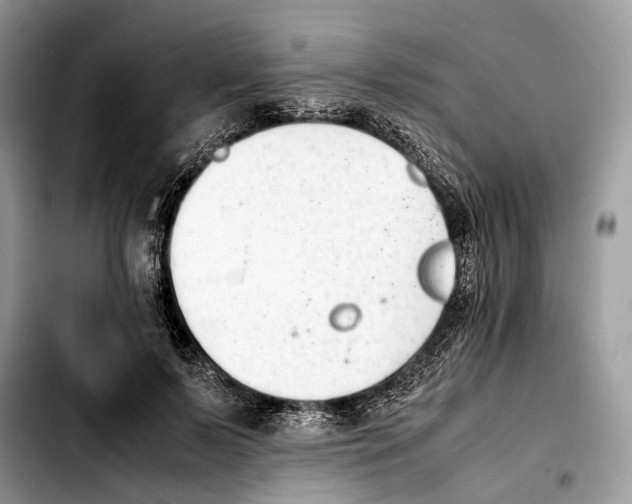 X0000103450695200810101128