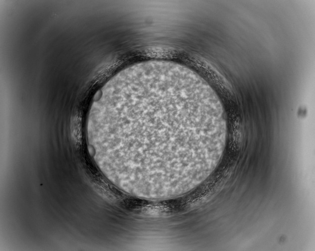 X0000103450696200810101128