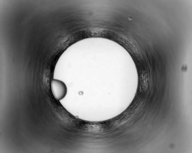 X0000103450698200810101128