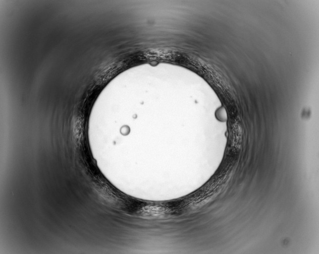 X0000103450699200810101128