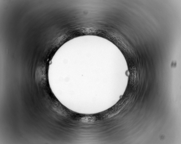 X0000103450700200810101128