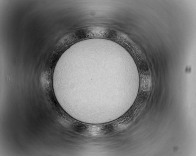 X0000103450701200810101128