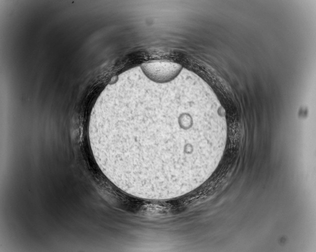 X0000103450703200810101128