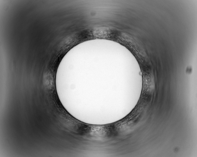 X0000103450705200810101128