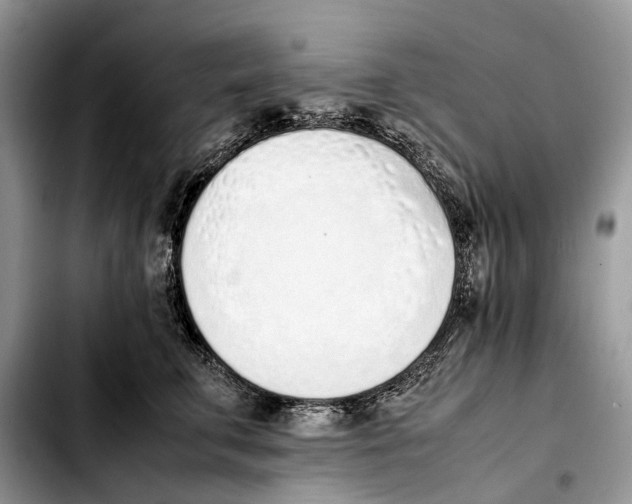 X0000103450711200810101128