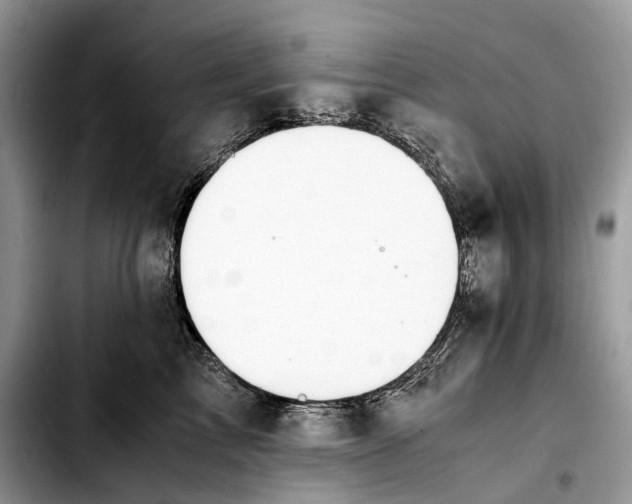 X0000103450713200810101127