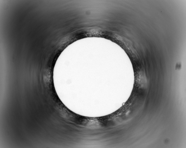 X0000103450715200810101127