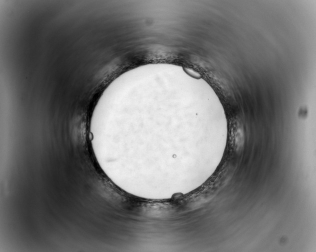 X0000103450716200810101127