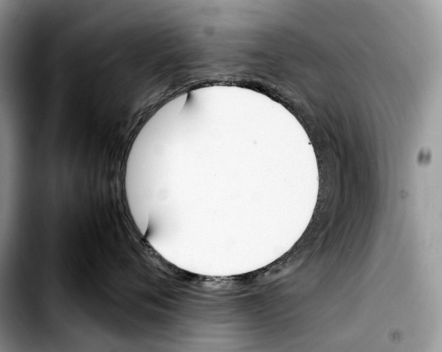 X0000103450720200810101127