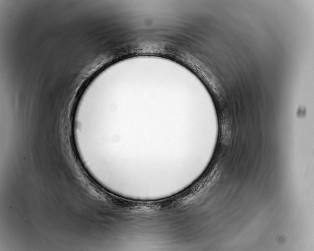 X0000103450721200810101127