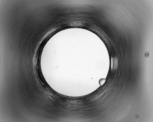 X0000103450723200810101127