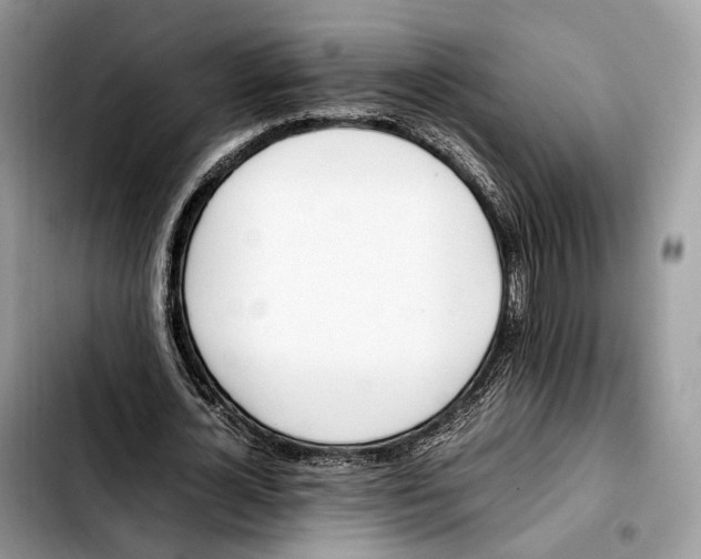 X0000103450724200810101127