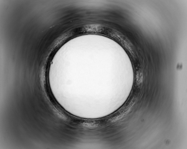 X0000103450725200810101127