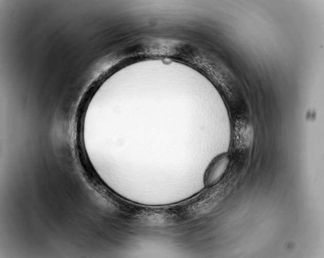 X0000103450726200810101127