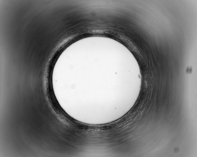 X0000103450728200810101127