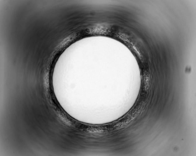 X0000103450729200810101127