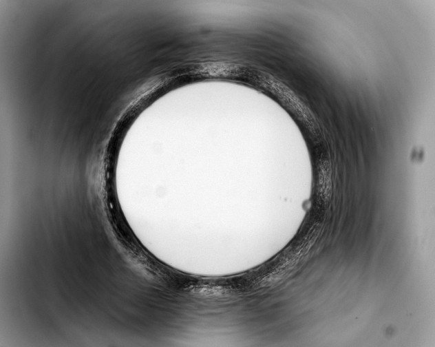 X0000103450730200810101127