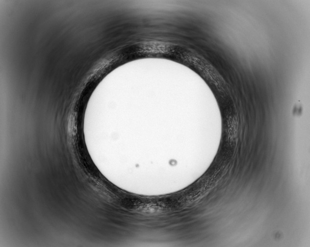 X0000103450731200810101127