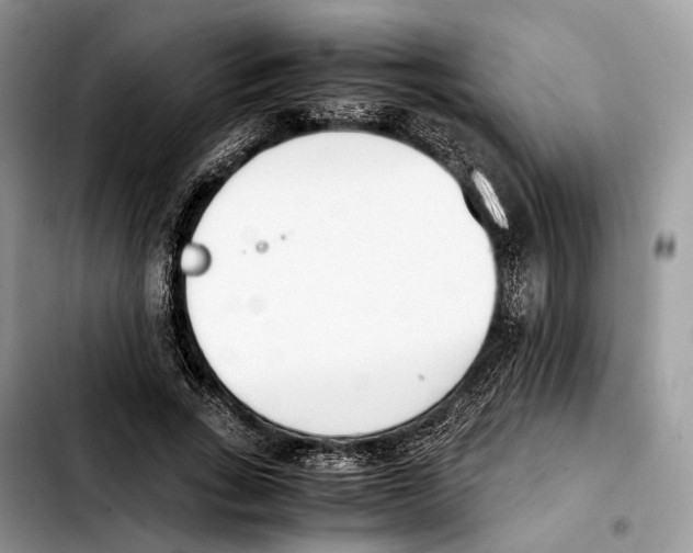 X0000103450735200810101127