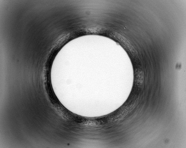 X0000103450738200810101127