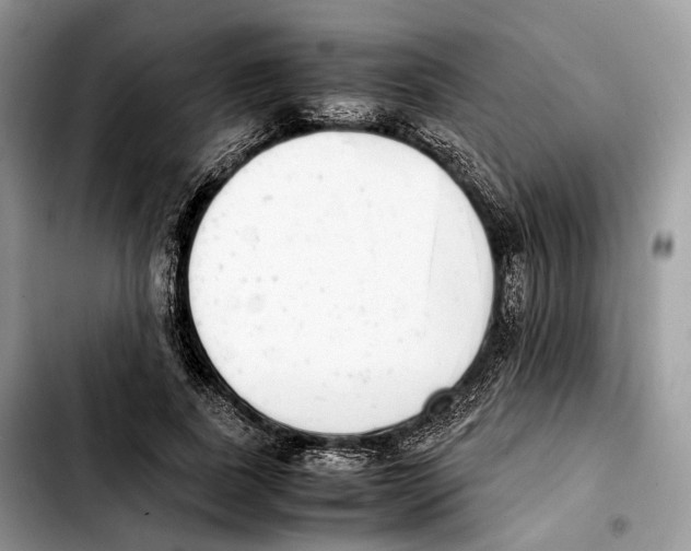 X0000103450739200810101127