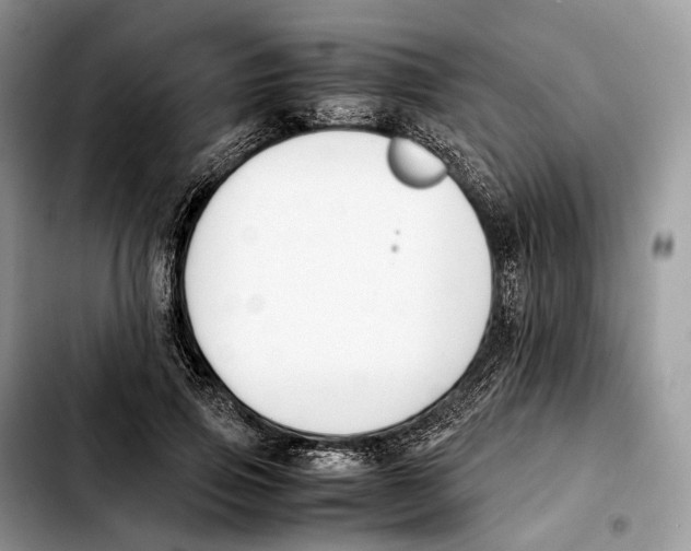 X0000103450741200810101127