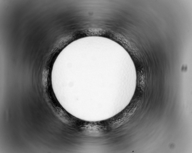 X0000103450742200810101127