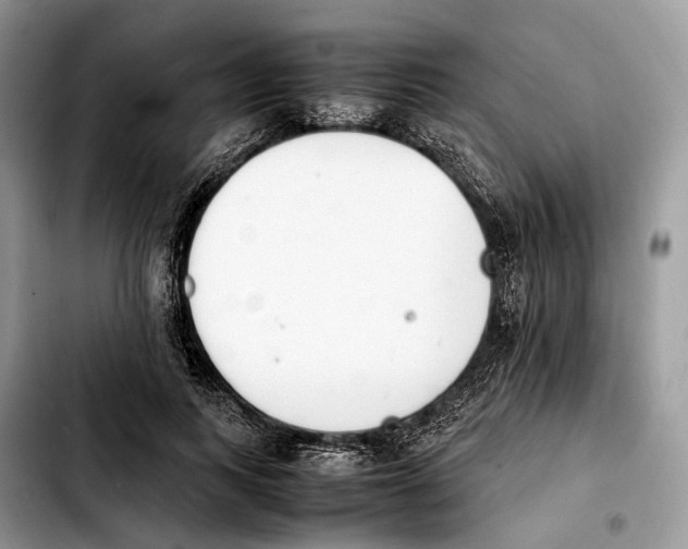 X0000103450743200810101127