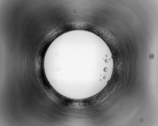 X0000103450744200810101127